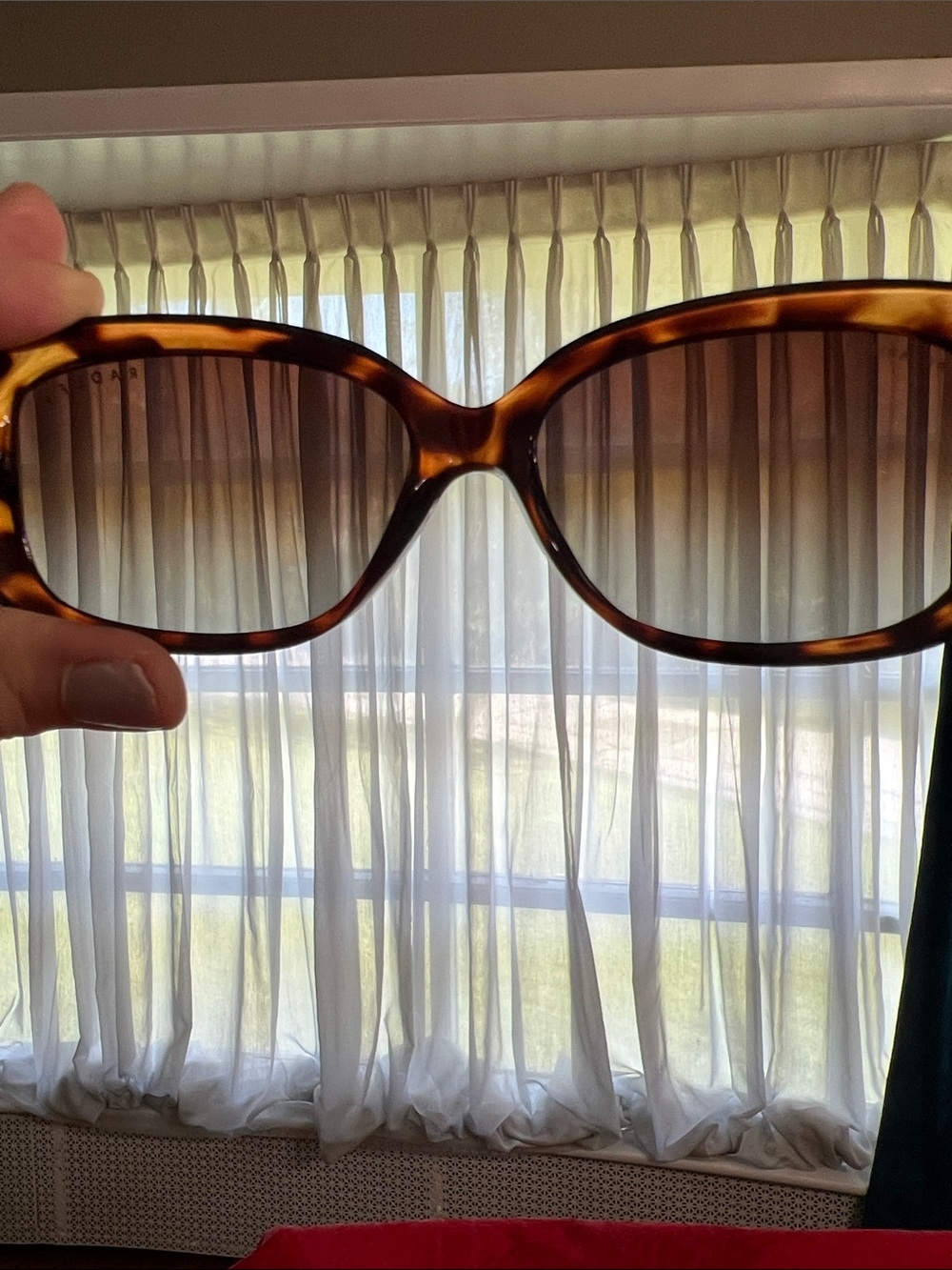 Radley London Polarized Tortoise Shell Oversized Sunglasses Brown Gradient